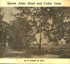 Queen Anne Road