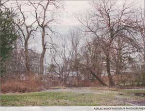 Pocket Park