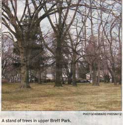 Upper Brett Park